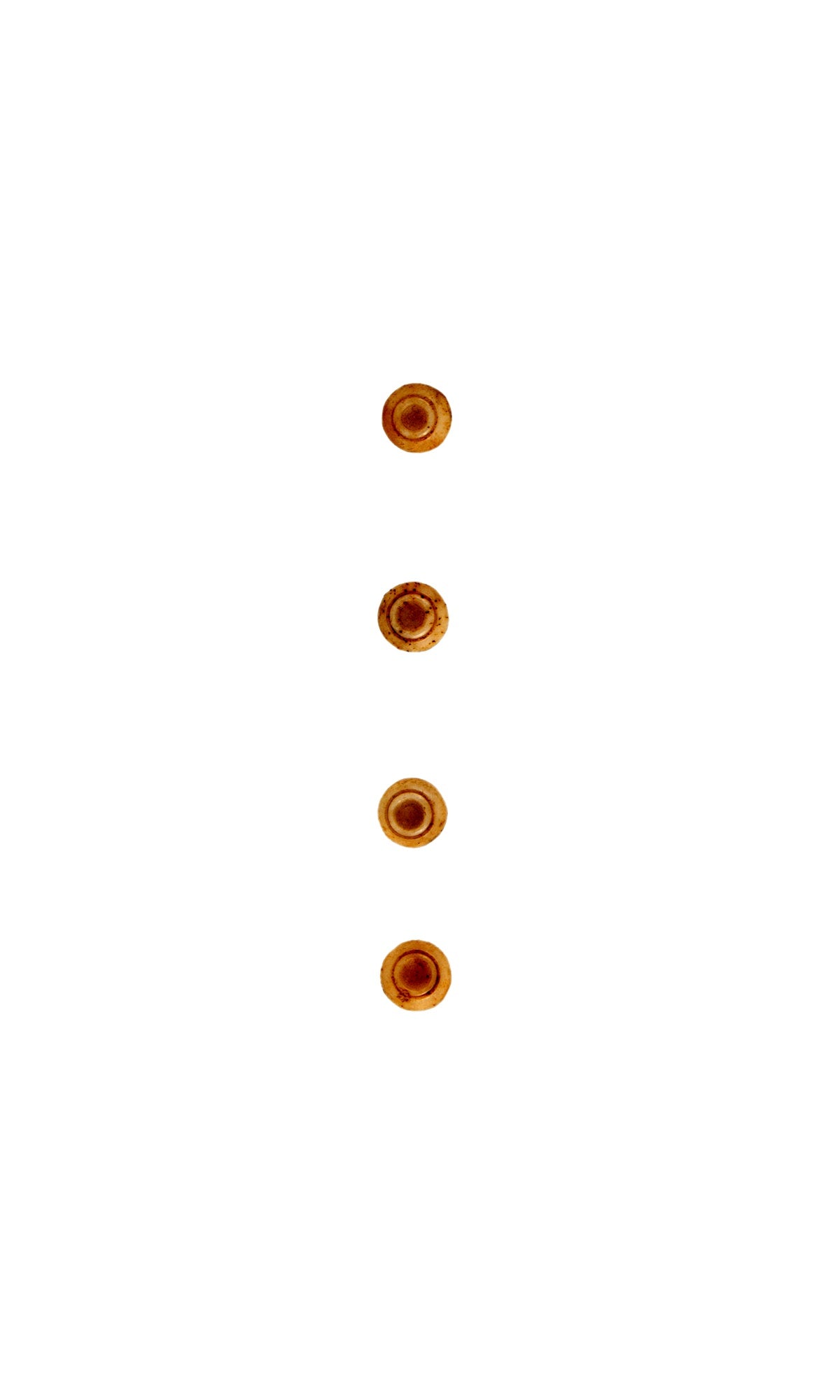 Bone Pin Set w/ Concentric Circle Heads (4) 19th Century