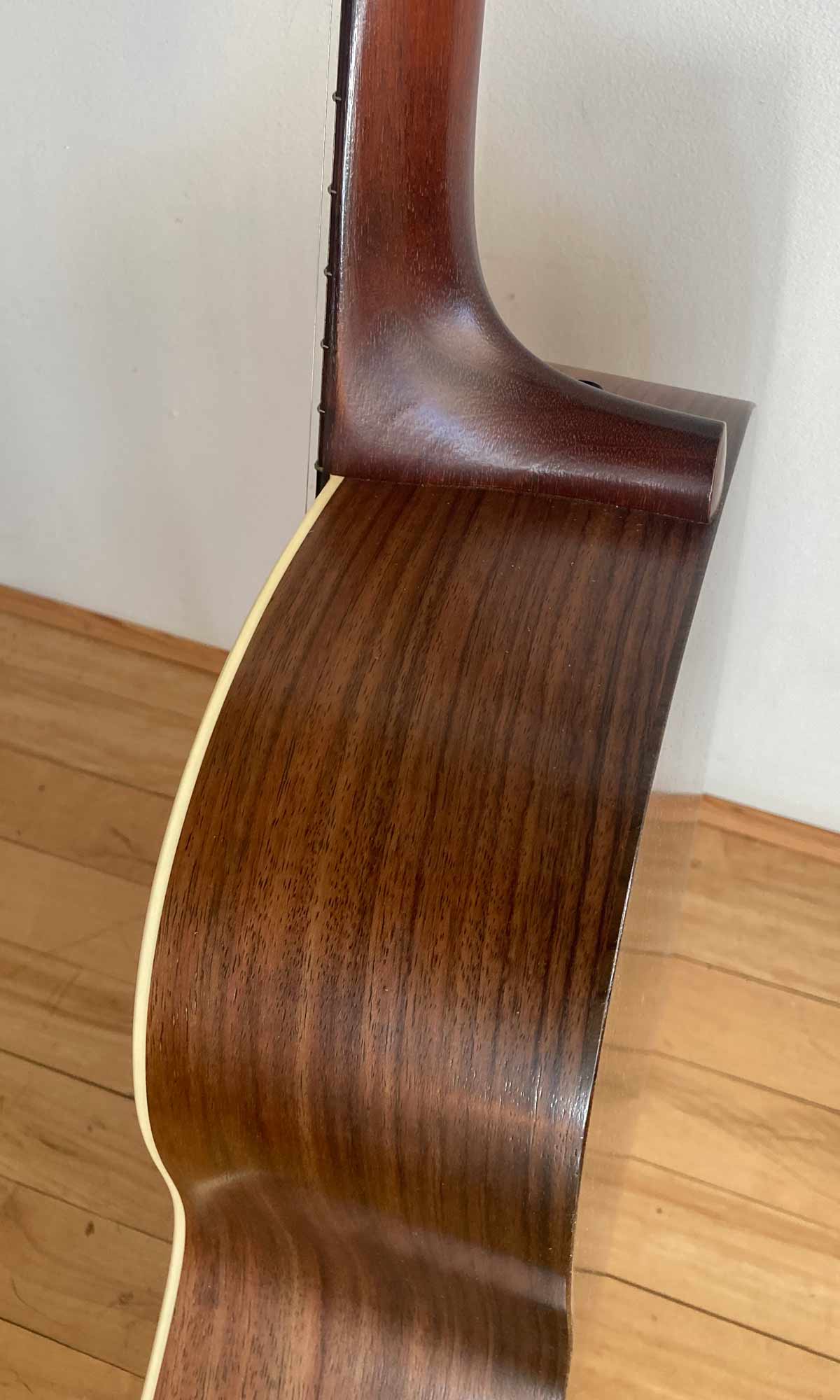 Waterloo Jumbo King Indian Rosewood 2016
