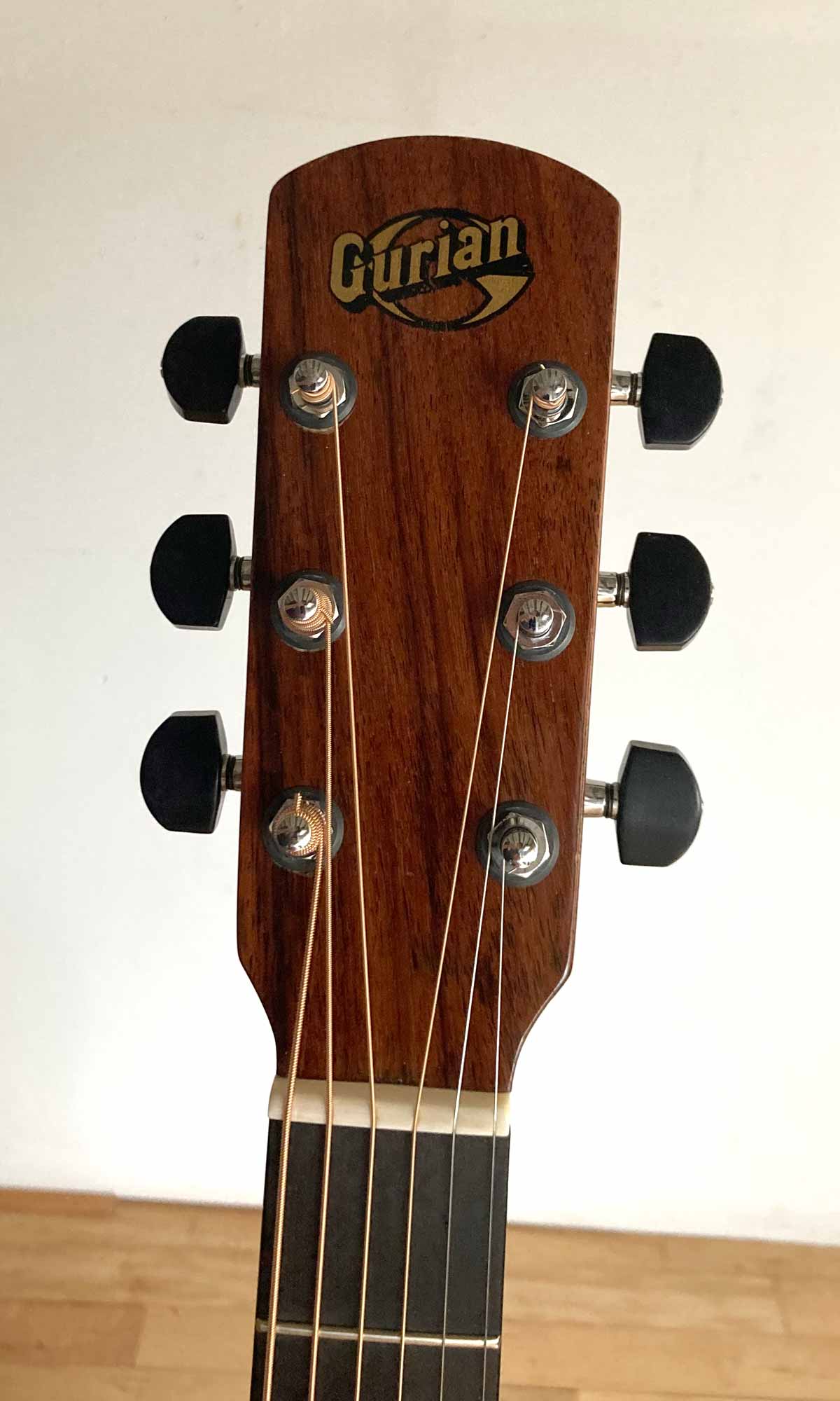 Gurian SM3 1979