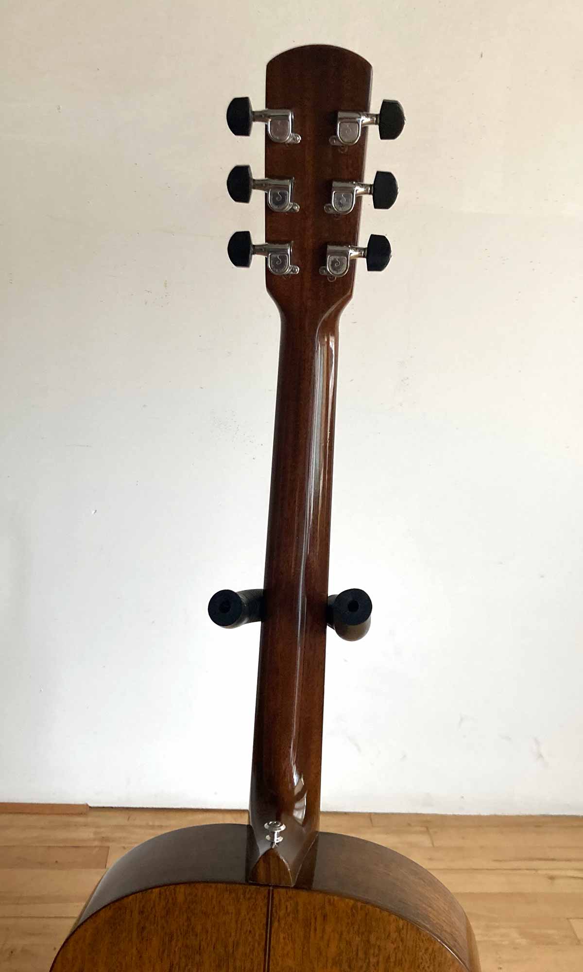 Gurian SM3 1979