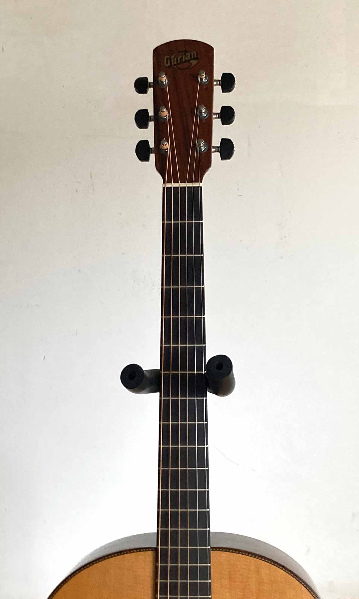 Gurian SM3 1979