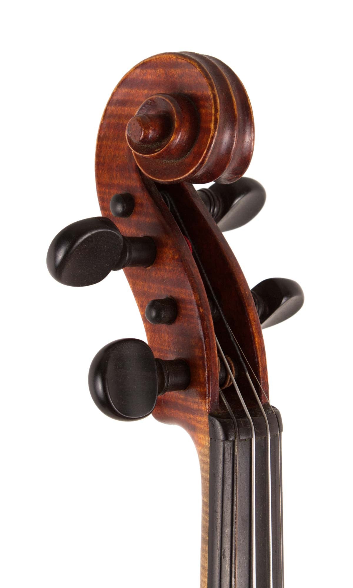 D'Angelico Violin 1927