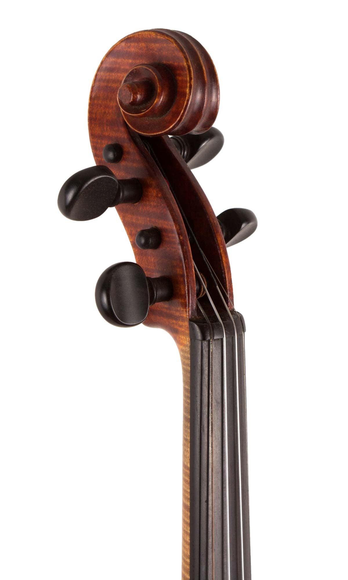 D'Angelico Violin 1927