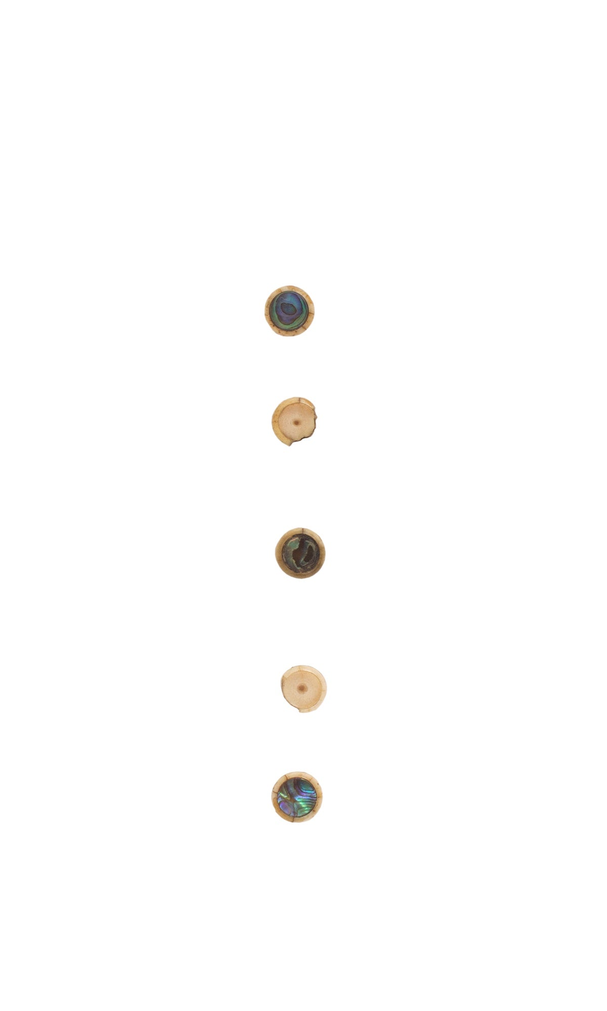 Bone Pins w/ Abalone Dots (5) 19th Century